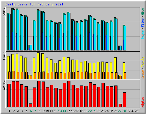 Daily usage for February 2021