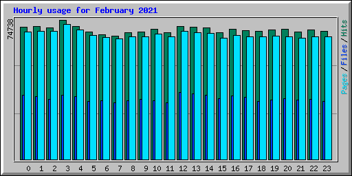 Hourly usage for February 2021